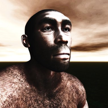 bir Homo Erectus 3D çizimi