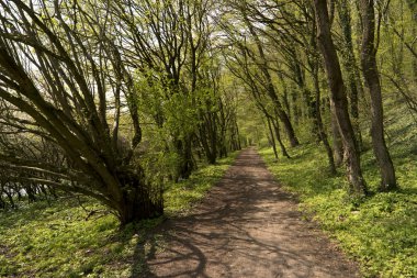 Almanya'da Altmuehltal Panorama izinde