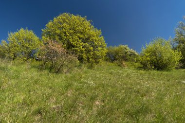 Almanya'da Altmuehltal Panorama izinde