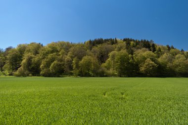 Almanya'da Altmuehltal Panorama izinde