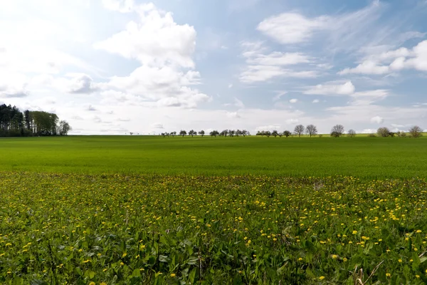 Na szlaku Panorama Altmuehltal w Niemczech — Zdjęcie stockowe