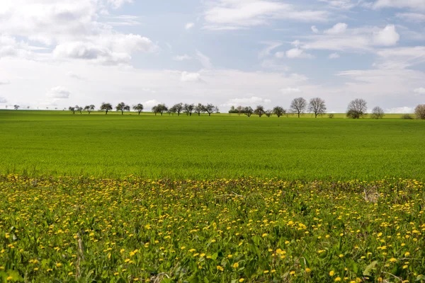 На передвиборну Панорама Altmuehltal в Німеччині — стокове фото