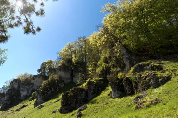 Almanya'da Altmuehltal Panorama izinde — Stok fotoğraf