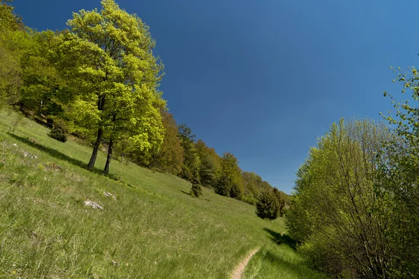 Altmuehltal Panorama Trail Germany — Stock Photo, Image