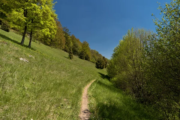 Altmuehltal Panorama Trail Germany — Stock Photo, Image