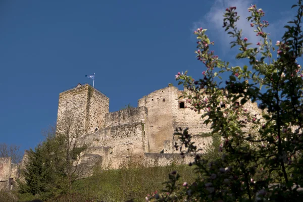 Pappenheim Altmuehltal Tyskland — Stockfoto