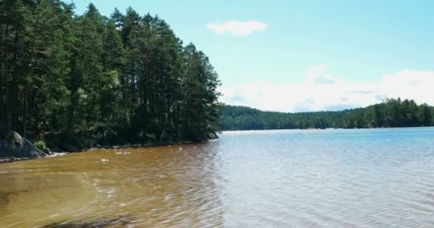 En el Parque Nacional de Tiveden en Suecia — Vídeo de stock