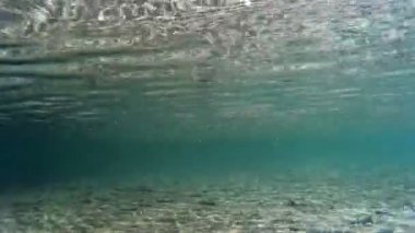 Lake Vaettern İsveç'te detay