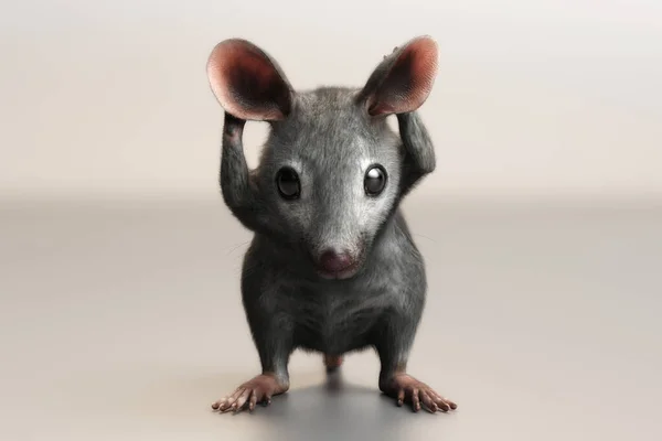 家鼠Mus Musculus 3D图像 — 图库照片