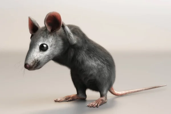 Illustration Une Souris Domestique Mus Musculus — Photo