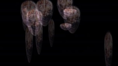 İnsan beyninin sanatsal animasyonu