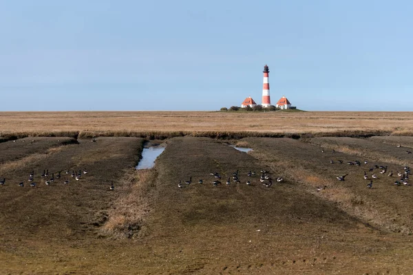 Fyren Westerhever Tyskland — Stockfoto