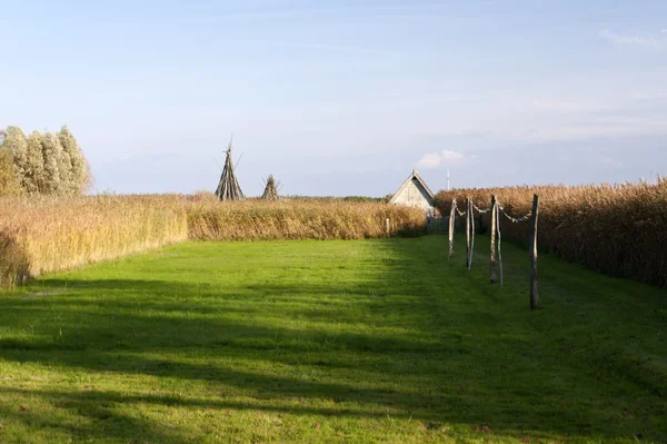 På fjärden av ahrenshoop i Tyskland — Stockfoto