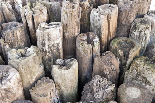 Detalhe de postagens de madeira intemperadas — Fotografia de Stock