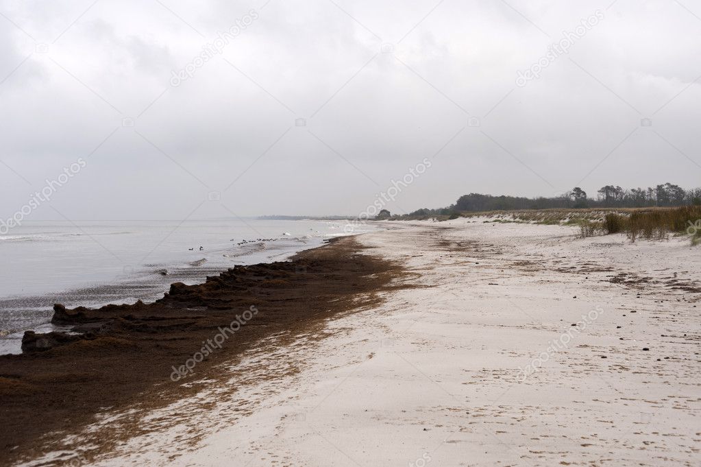 On the Beach of Ahrenshoop in Germany