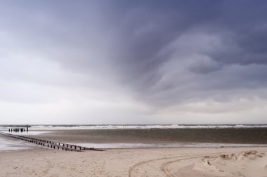 Almanya Kuzey Frisian Adası Amrum kumsalda