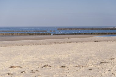 Amrum Beach