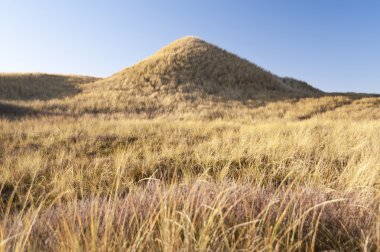 Dunes Amrum üzerinde