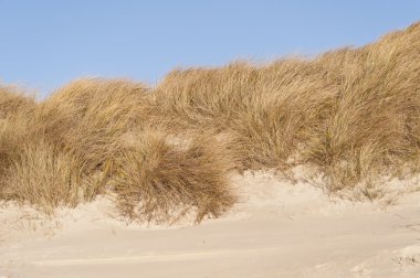 Dunes Amrum üzerinde