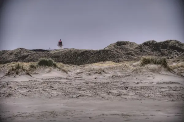 Sanddynerna på Amrum — Stockfoto