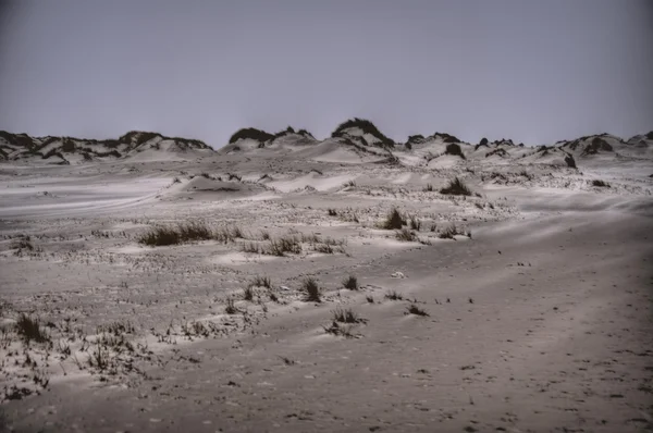 Sanddynerna på Amrum — Stockfoto