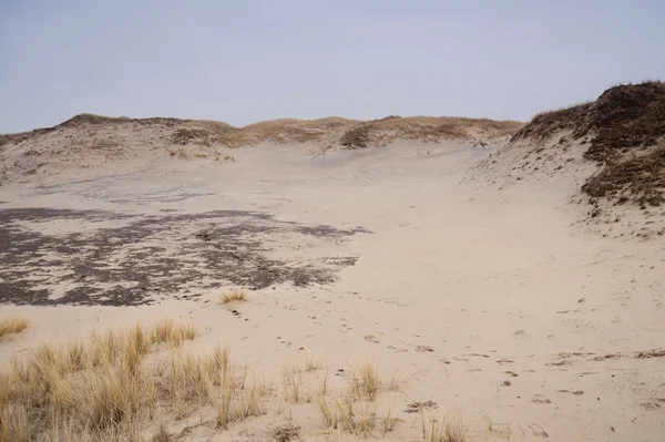 Dünen auf Amrum — Stockfoto