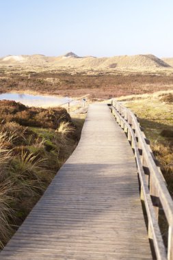 Dunes Amrum üzerinde