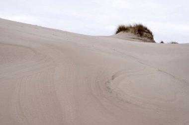 Dunes Amrum üzerinde