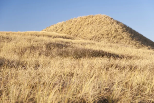 Dunes on Amrum — Stock Photo, Image