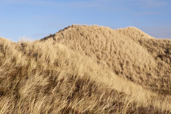 Dunas em Amrum — Fotografia de Stock