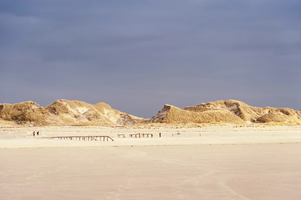 Amrum에 모래 언덕 — 스톡 사진