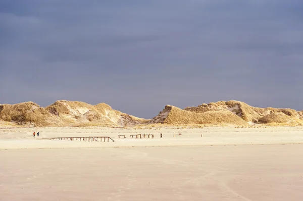 Duinen op Amrum — Stockfoto