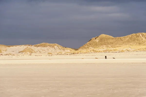 Dunas em Amrum — Fotografia de Stock