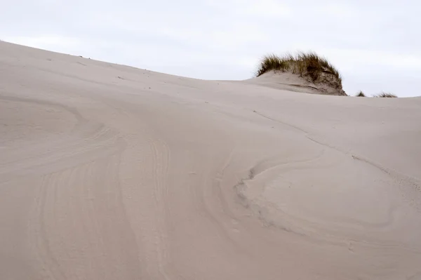 Wydmy na wyspie Amrum — Zdjęcie stockowe