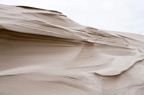 Dunes sur Amrum — Photo
