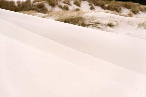 Dunes sur Amrum — Photo