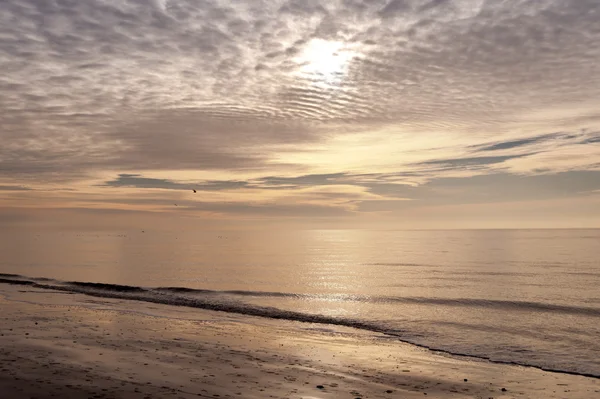 Amrum Beach — Stok fotoğraf