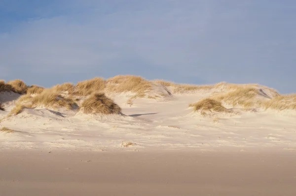 Amrum에 모래 언덕 — 스톡 사진