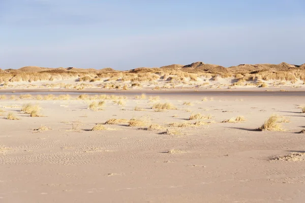 Dunes-szigeten: Amrum — Stock Fotó