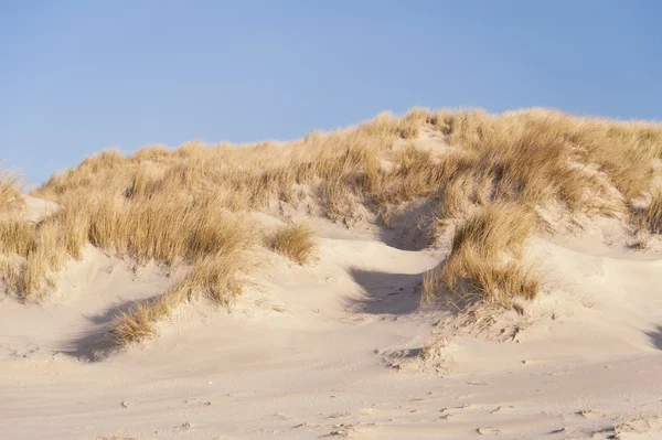 Dune su Amrum — Foto Stock