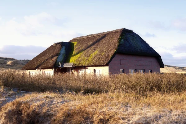 Thatched casa sul tetto — Foto Stock