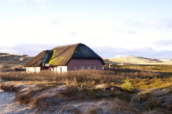 Thatched çatı ev — Stok fotoğraf