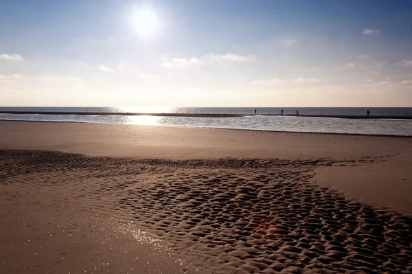 Plaży Amrum — Zdjęcie stockowe