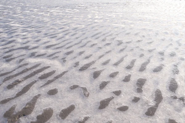 Praia de Amrum — Fotografia de Stock