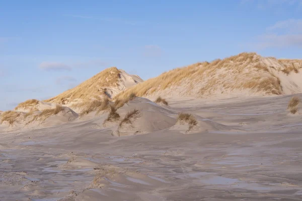 Дюни на острові Amrum — стокове фото