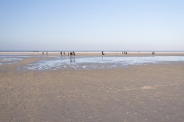 Amrum Beach