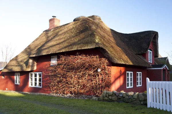 Dům na ostrově Amrum — Stock fotografie