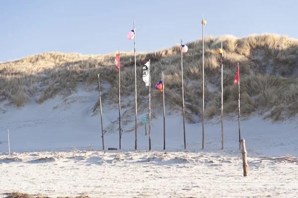 Stranden av Amrum — Stockfoto