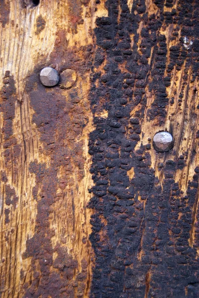 Structuur van oud hout — Stockfoto