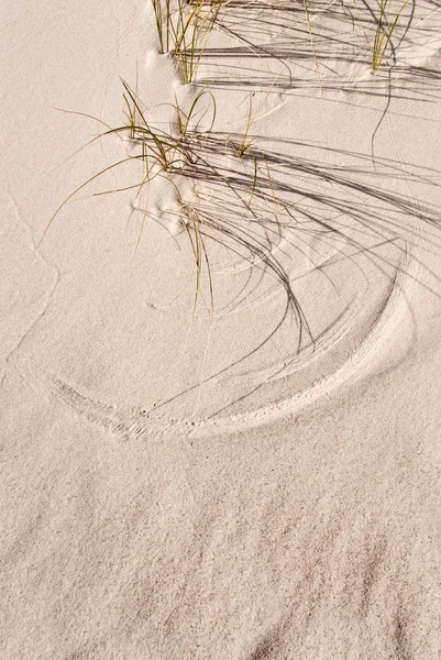 Detalhe de uma duna arenosa — Fotografia de Stock